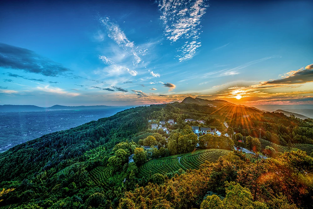 茶山竹海