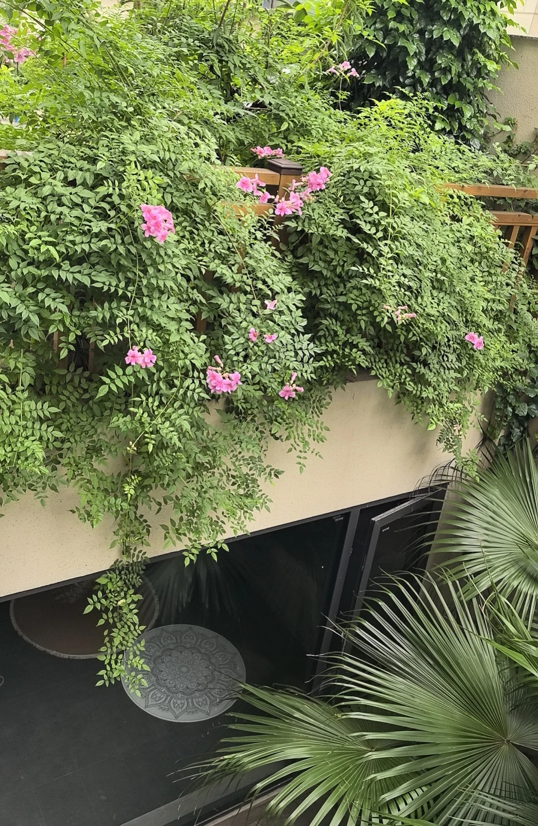 花园