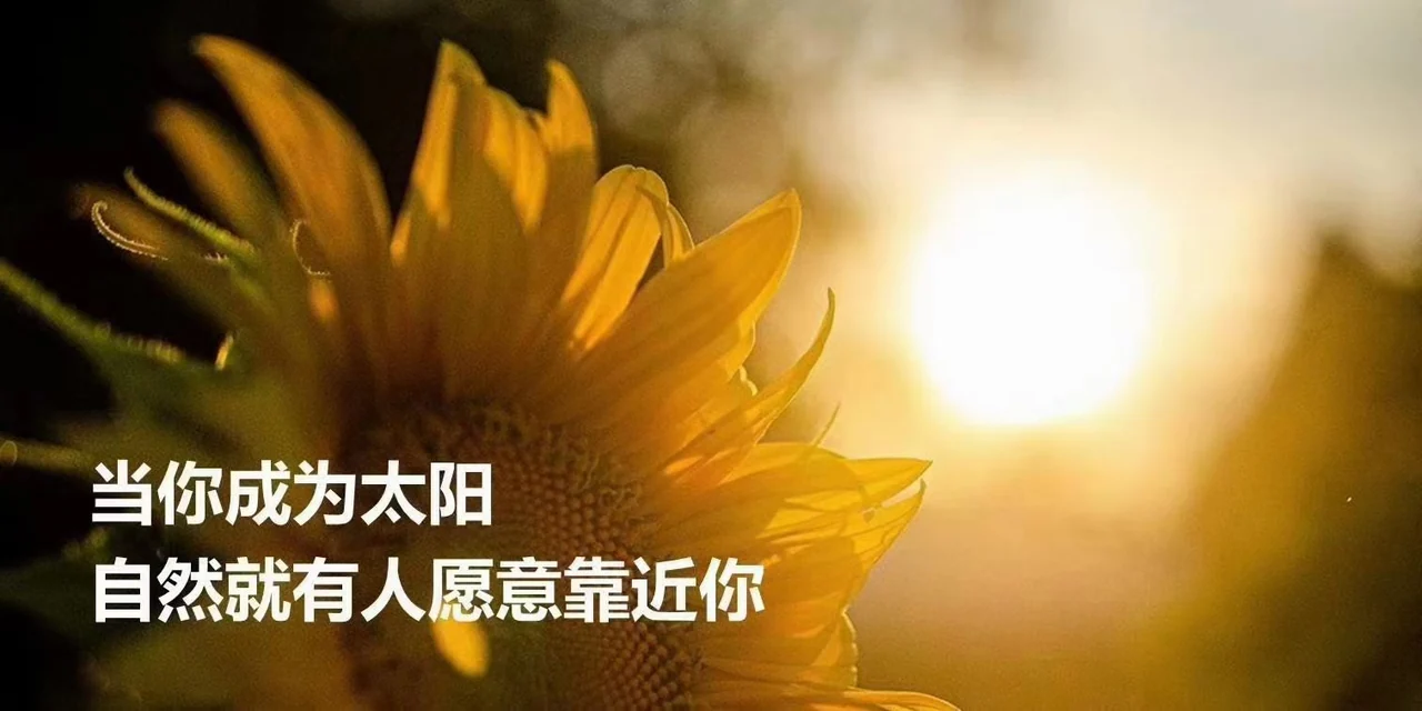 向阳而生